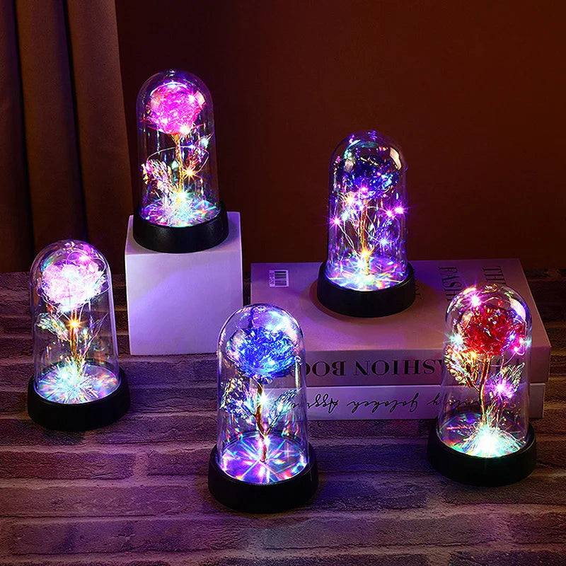 bp:558e483f8c4cac7600dc9e9f21ff34d6f0abbc5a5b6f0845005fc8da973fb4ed